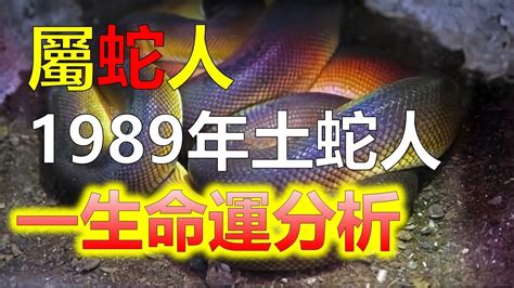 1989 屬蛇|【1989 屬相】驚！1989年生屬相大起底：蛇子蛇女命運揭秘